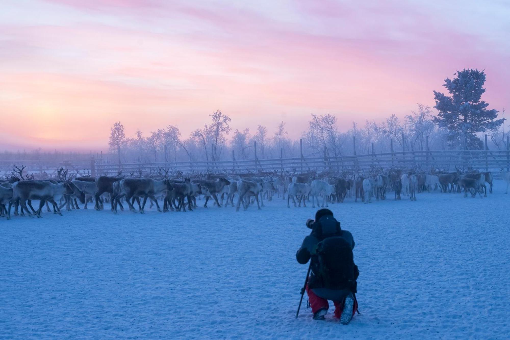 Nivunki Village Muonio Buitenkant foto