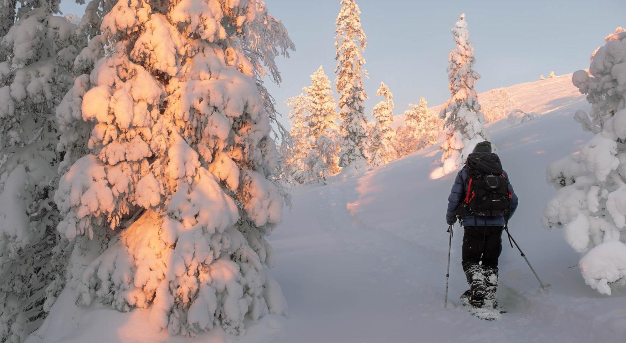 Nivunki Village Muonio Buitenkant foto